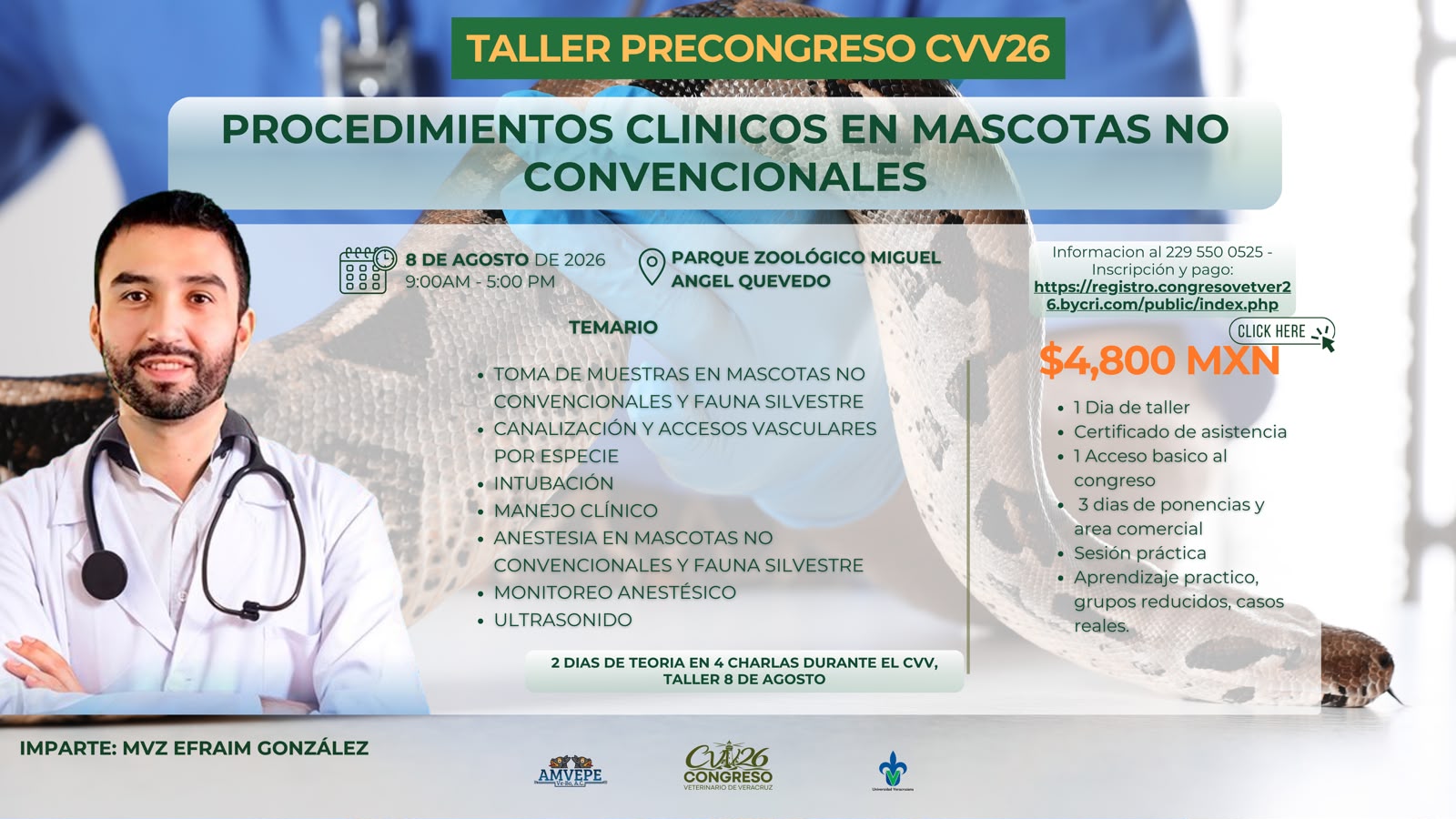 Taller: Procedimientos clínicos en mascotas no convencionales
