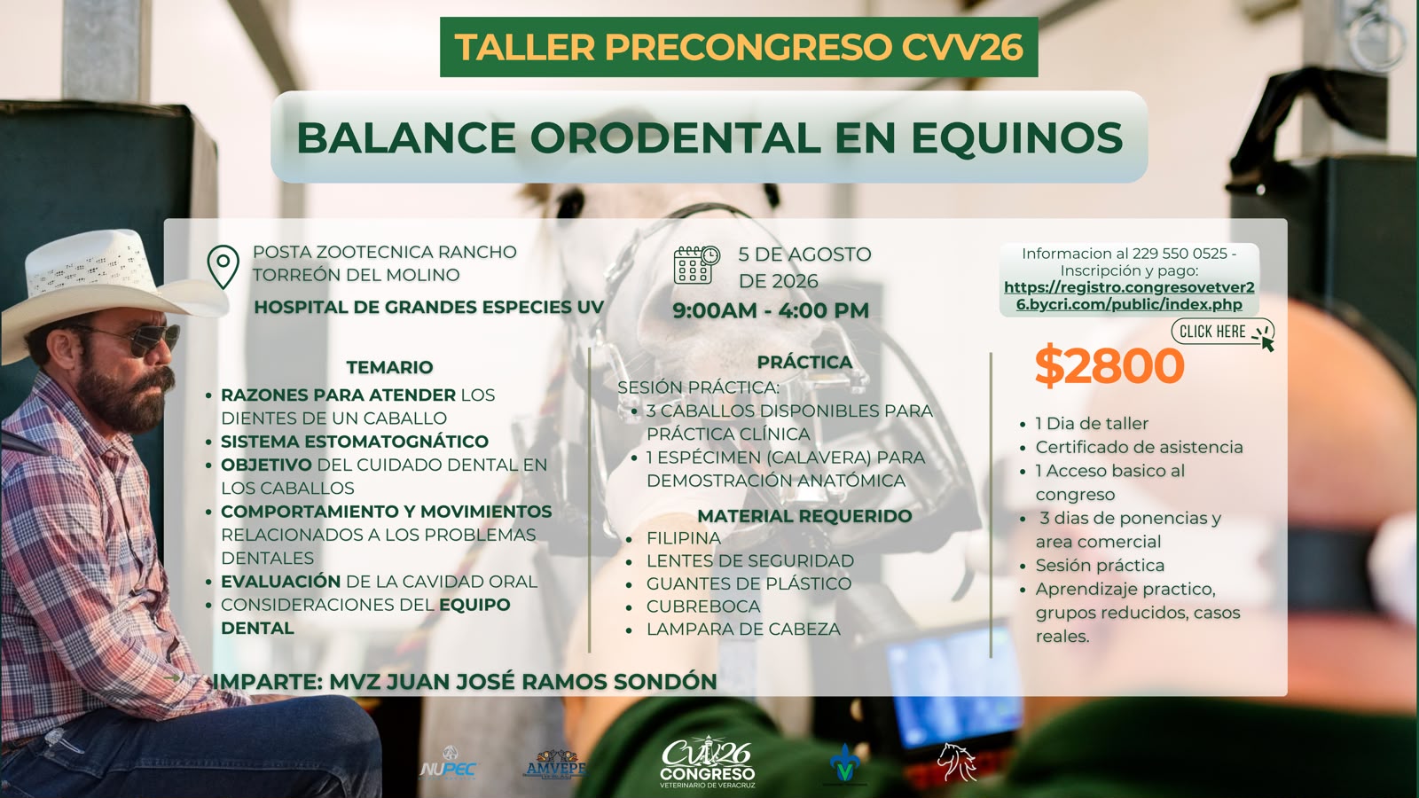 Taller: Balance orodental en equinos