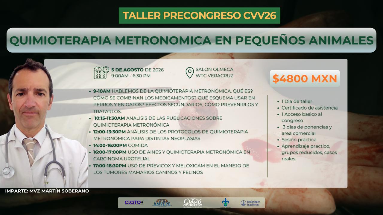 Taller: Quimioterapia metronómica en pequeños animales